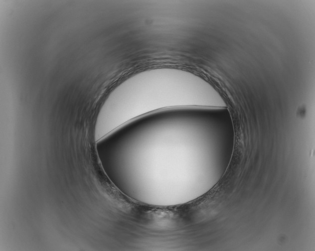 X0000090770512200707201117