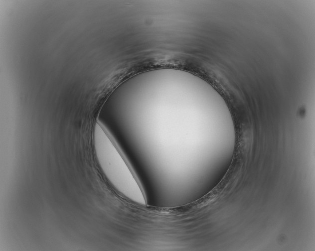 X0000090770513200707201117
