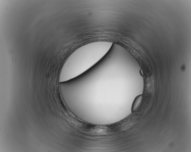X0000090770514200707201117