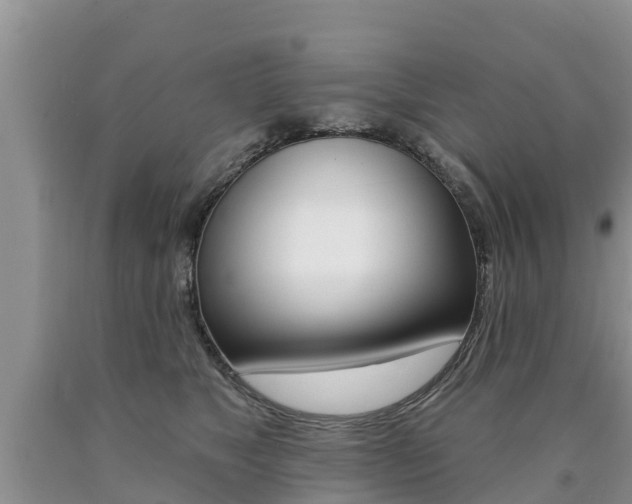 X0000090770517200707201117