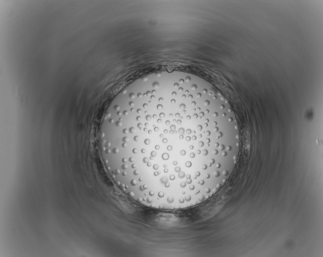 X0000090770519200707201117