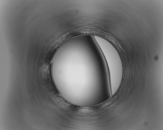 X0000090770521200707201117