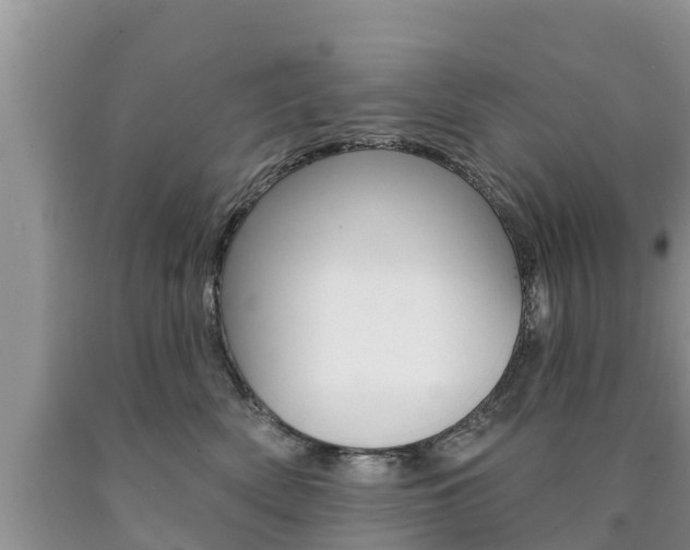 X0000090770522200707201117