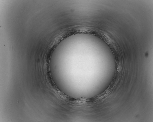 X0000090770524200707201117