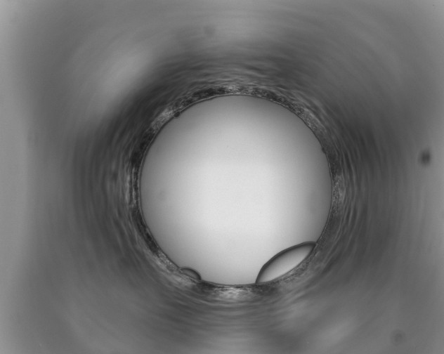 X0000090770527200707201117