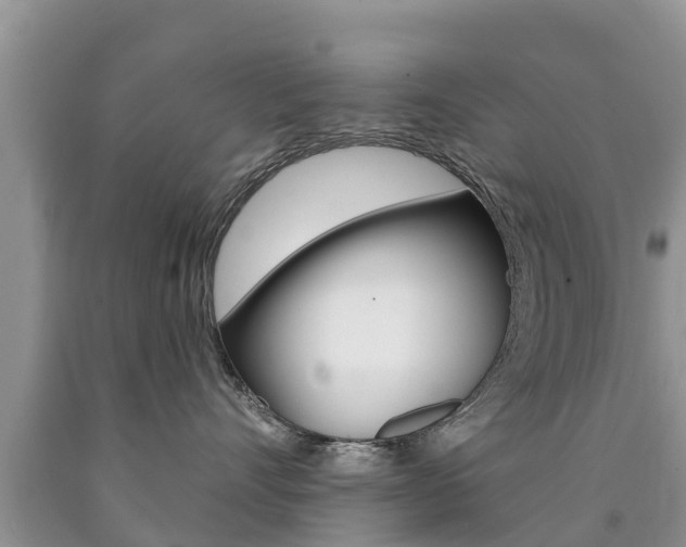 X0000090770528200707201117