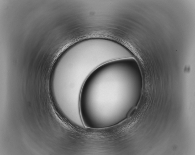 X0000090770530200707201116