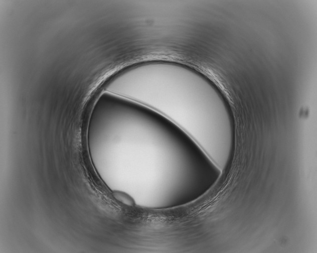 X0000090770531200707201116