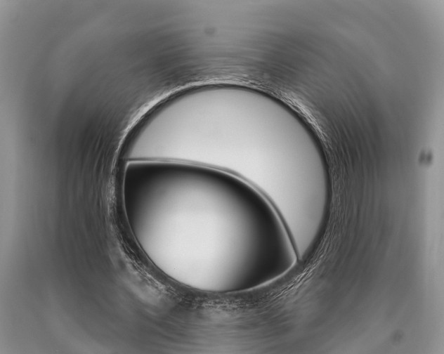X0000090770532200707201116