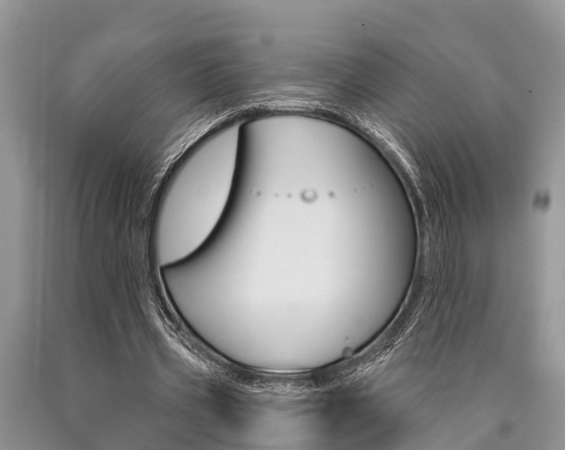 X0000090770533200707201116