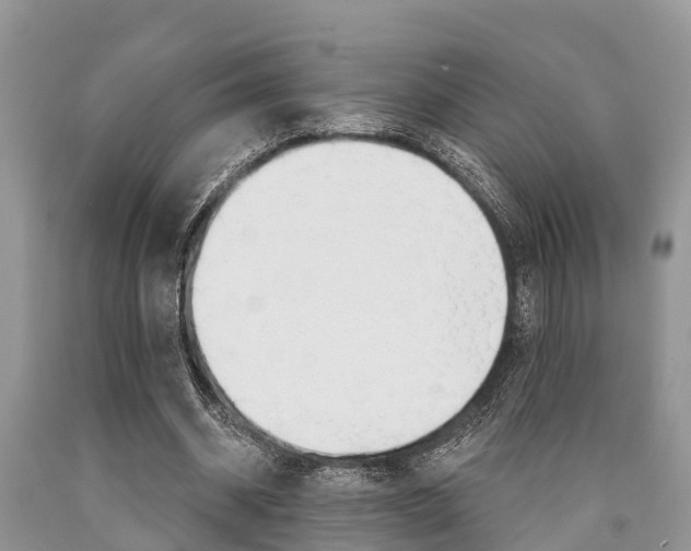 X0000090770534200707201116