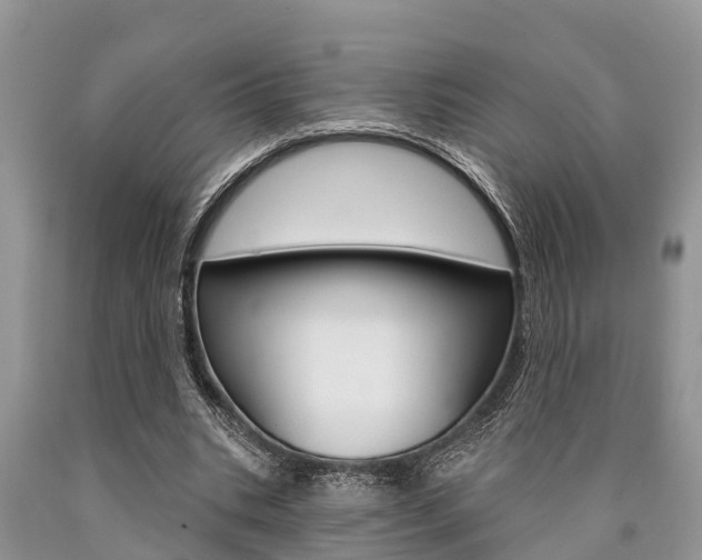 X0000090770535200707201116