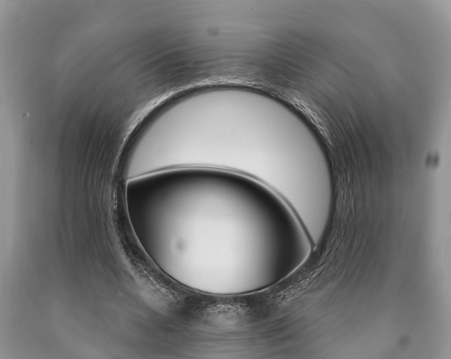 X0000090770536200707201116