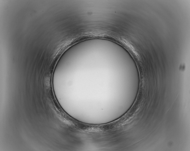 X0000090770537200707201116