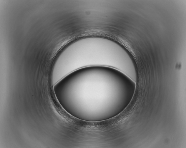 X0000090770538200707201116