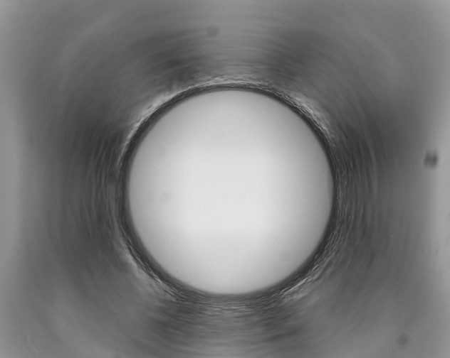 X0000090770540200707201116