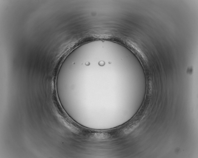 X0000090770541200707201116