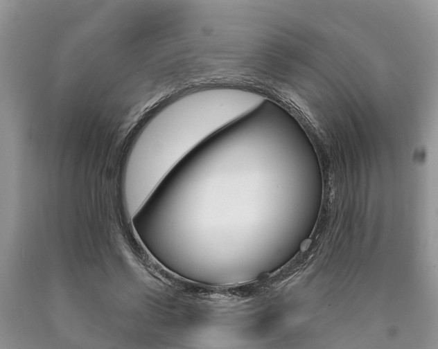 X0000090770542200707201116