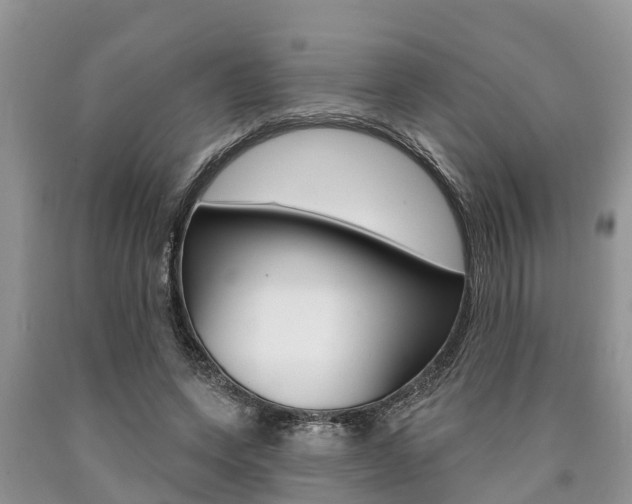 X0000090770543200707201116