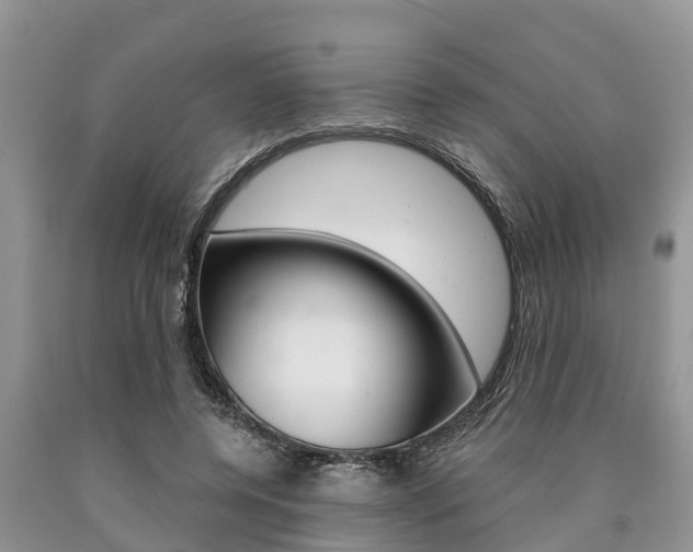 X0000090770544200707201116