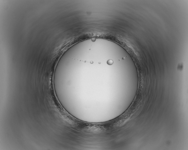 X0000090770545200707201116