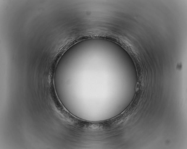 X0000090770546200707201116