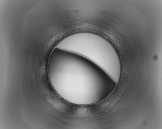 X0000090770547200707201116