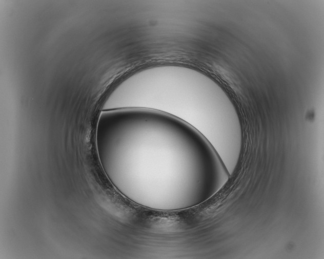 X0000090770548200707201116