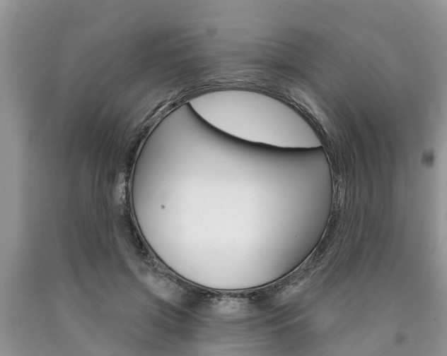 X0000090770549200707201116
