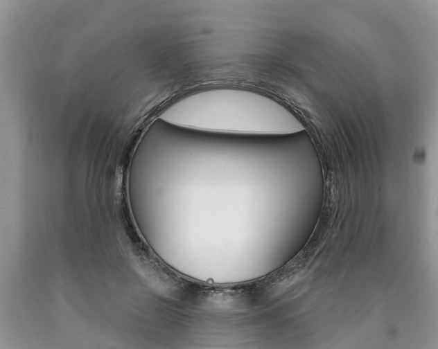 X0000090770550200707201116