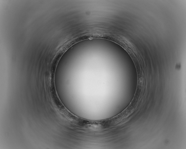 X0000090770552200707201116