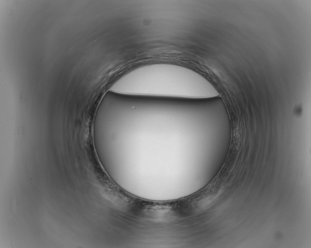 X0000090770554200707201116