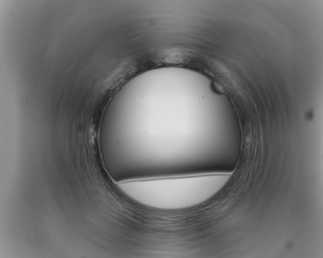 X0000090770555200707201116