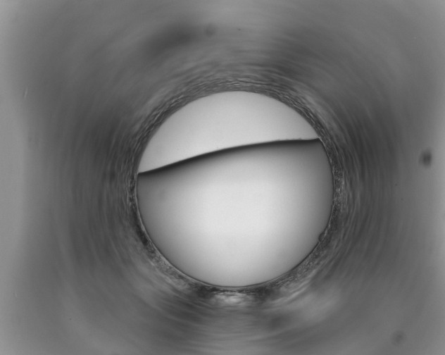 X0000090770557200707201116