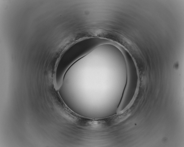 X0000090770558200707201116