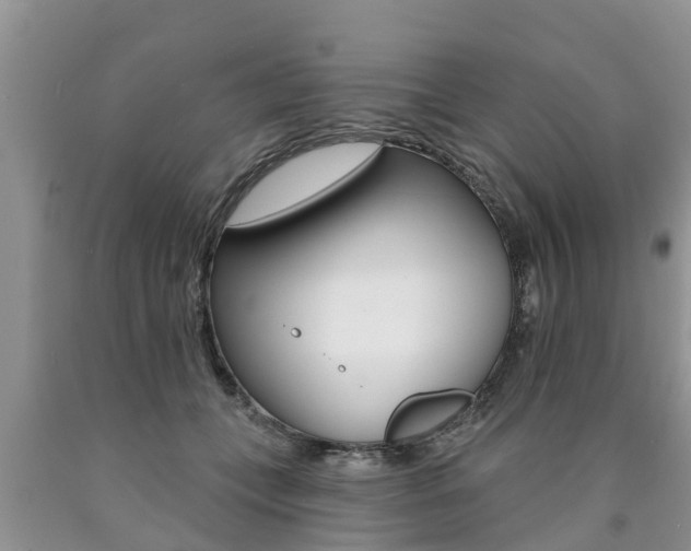 X0000090770559200707201116