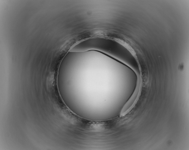 X0000090770560200707201116