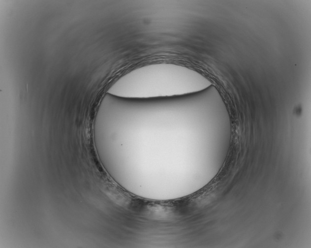 X0000090770561200707201116