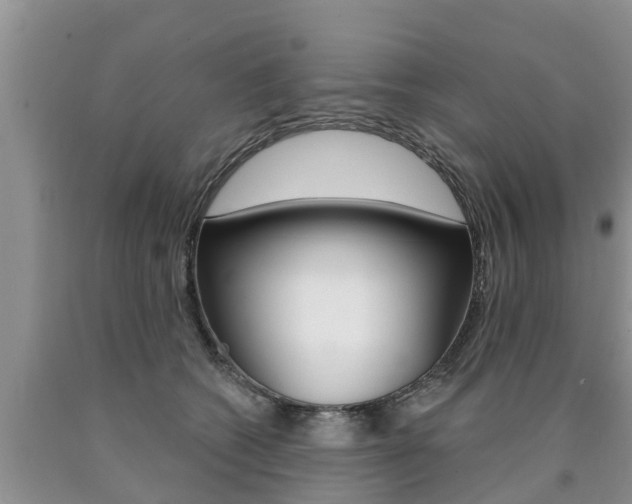 X0000090770562200707201116