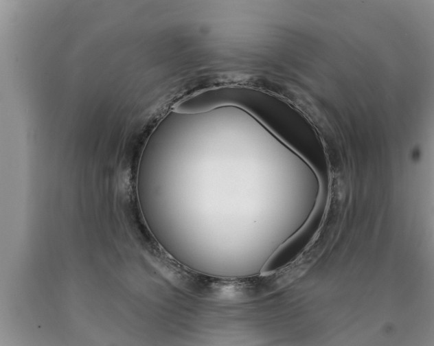 X0000090770564200707201116