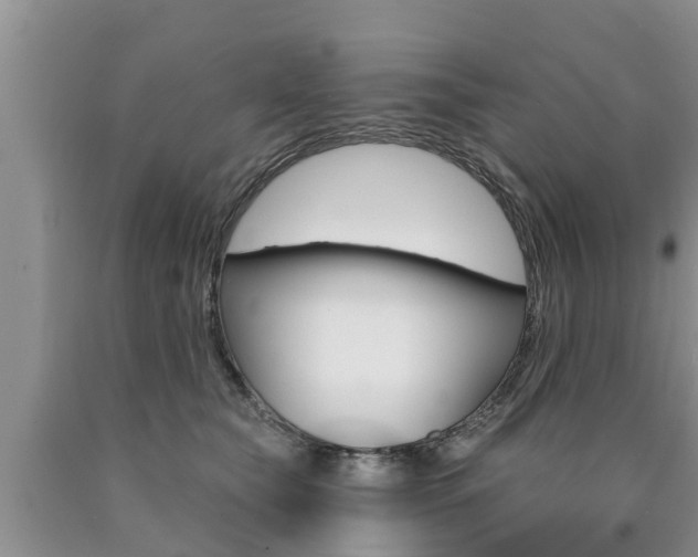 X0000090770565200707201116