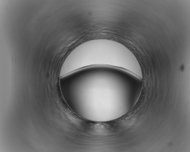 X0000090770566200707201117