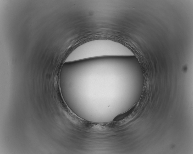 X0000090770568200707201117