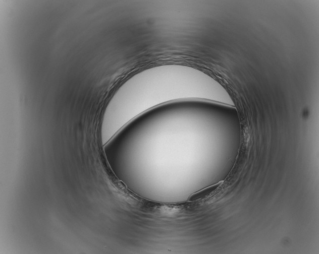 X0000090770570200707201117