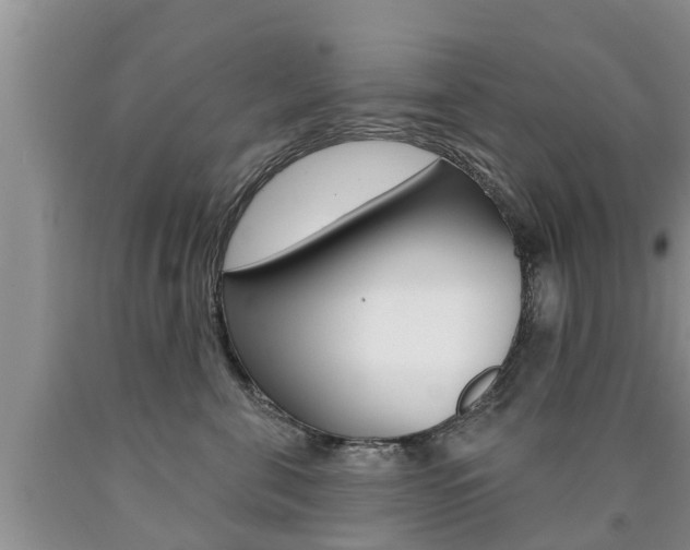 X0000090770571200707201117