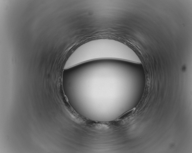 X0000090770572200707201117