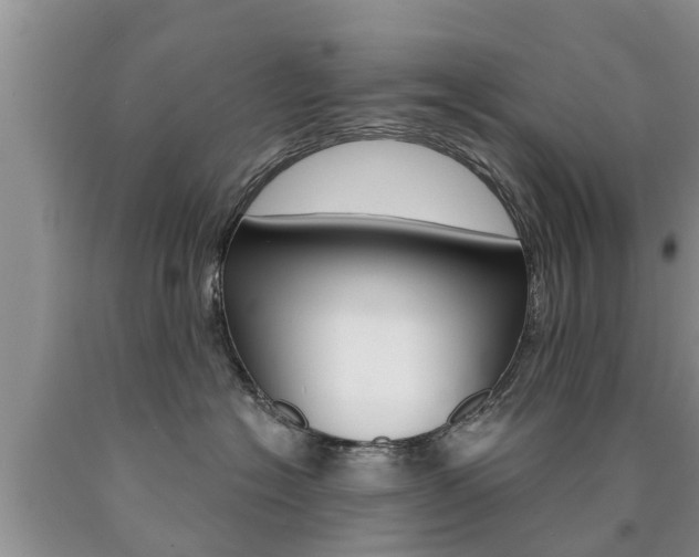 X0000090770574200707201117