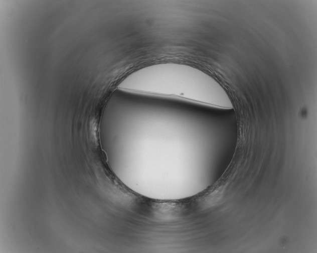 X0000090770575200707201117