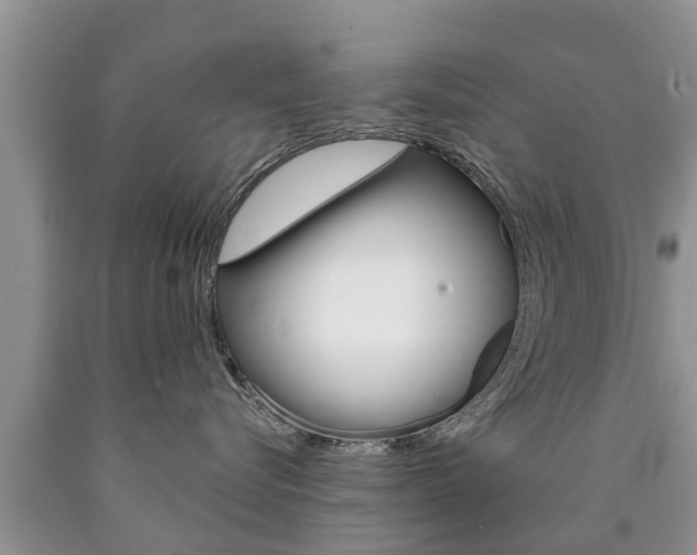 X0000090770576200707201117