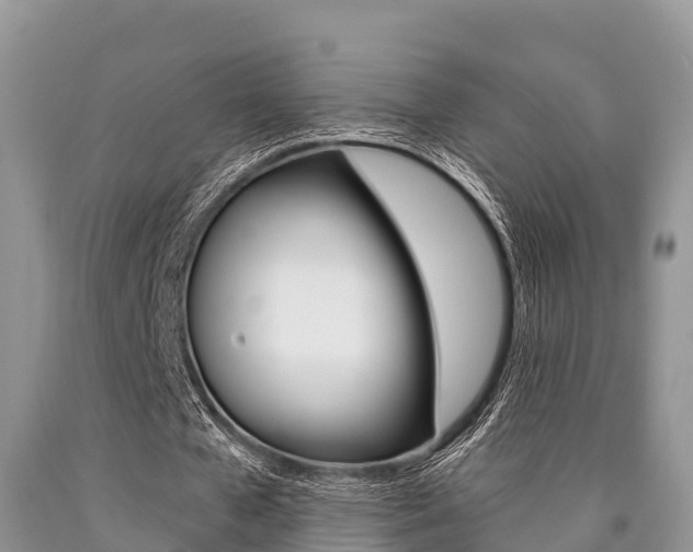 X0000090770577200707201116